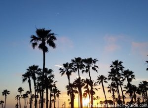 palm trees at sunset balboa pier beach newport beach city guide